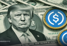 Crypto Wealth of Donald Trump Jumps 364% Due to Memecoins