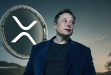 Elon Musk Did Mention XRP But Did Not Endorse