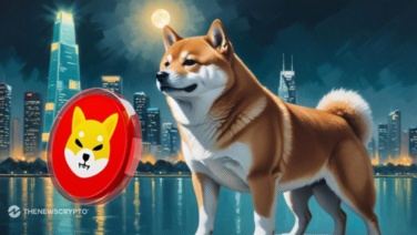 Top Meme Coin Loved by the Indian Community