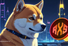 Shiba Inu Price Prediction: Can SHIB Clear $0.00008 All-Time High Before the Year 2024 Ends?