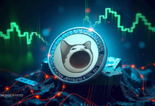 Is POPCAT Leading Cat Coin Rally Hitting New ATH?