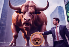 Is WIF's 12% Gain a Sign of an Upcoming Bull Run?