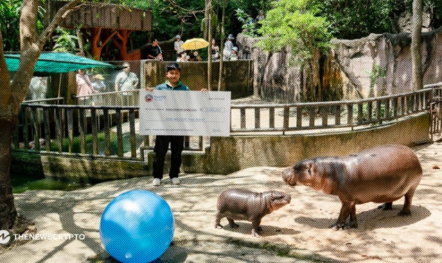 SUI meme $HIPPO enters into charity partnership with Moo Deng’s zoo