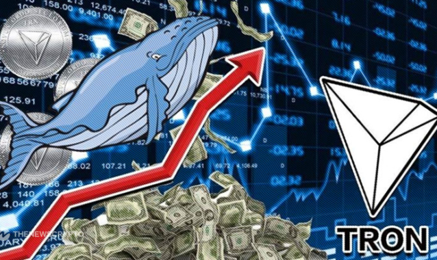 TRON Whale Bets Big on This Chainlink Alternative Poised for 2000% Returns by Q4 2024