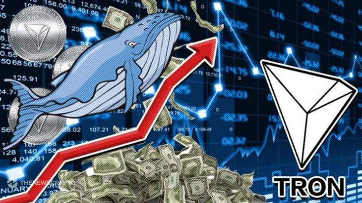 TRON Whale Bets Big on This Chainlink Alternative Poised for 2000% Returns by Q4 2024