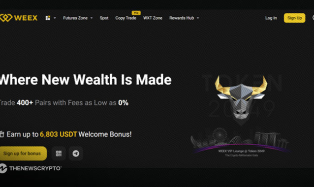 WEEX 2024 Review: Passive Income Opportunities with being an Affiliate and Copy Trading