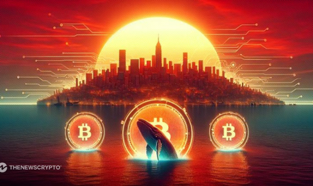 Whales Are Quietly Accumulating These 4 Altcoins Poised for 5000% Returns – Could This $0.035 Token Outperform Solana in the Coming Bull Market?