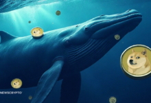 : Can DOGE Recover from Market Lows Amid Whale Purchases?