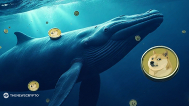 : Can DOGE Recover from Market Lows Amid Whale Purchases?