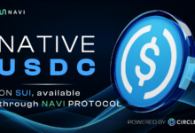 Sui Network Boosts DeFi with Native USDC Integration Via NAVI Protocol