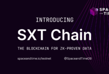 Space and Time Labs Launches SXT Chain Testnet