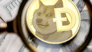 The Top Cryptocurrencies Poised to Generate Wealth in 2024. Forecasts predicted Zig Network to rule over Dogecoin (DOGE) and Tron (TRX)