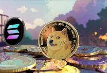 Solana (SOL), Dogecoin (DOGE), and Maybe Even Cardano (ADA) Will See New ATHs by January 2025