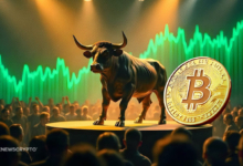 Bitcoin Hits $81K for the First Time as Bulls Lead Crypto Rally