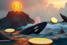 Crypto Whales