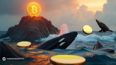 Crypto Whales