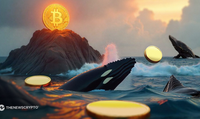 Bitcoin Whales Amass in Bulk Amid Ongoing Bullish Momentum