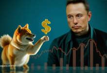 Elon Musk and Dogecoin Foundation To Push $DOGE to New Highs