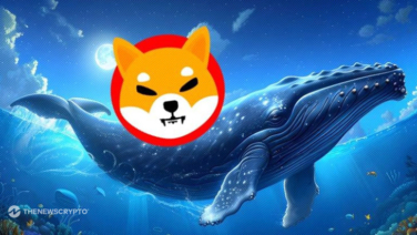 SHIB Price Surge Anticipated as Buy Wall Expands—Could This All-Sports Meme Token Also Take Off?