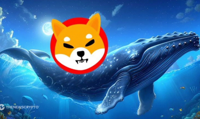 SHIB Price Surge Anticipated as Buy Wall Expands—Could This All-Sports Meme Token Also Take Off?