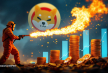 Is Shiba Inu Poised for a Breakout as Burn Rate Surges?