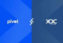 Pivot and XDC Network Launch Co Acceleration Program, Backed by XVC Tech’s $125 Million Fund