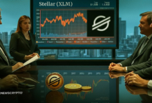 Is Stellar (XLM) Set for Further Gains or a Pullback?