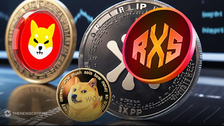 5 Tokens with Giant ROI Potential Like Dogecoin (DOGE) and Shiba Inu (SHIB) in 2021