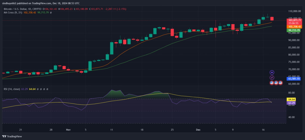 BTCUSD_2024-12-18_14-23-05-1024x472.png