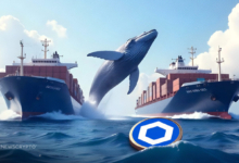 Chainlink Whales Ramp Up Accumulation Despite Price Pullback of Over 6%