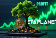 Metaplanet Expects First Profit in Seven Years with Bitcoin Strategy