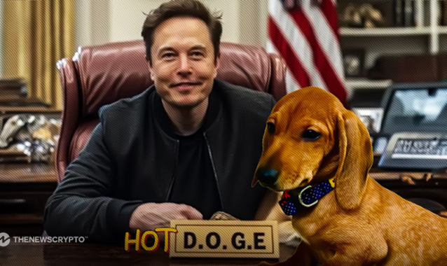 New Meme Coin HOTDOGE to Make You Millionaire in Next 3 Days