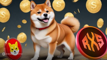 Shiba Inu Bull Identifies 1 Coin to Turn $800 into $208800 with a  Rally Like SHIB in Its Prime Days