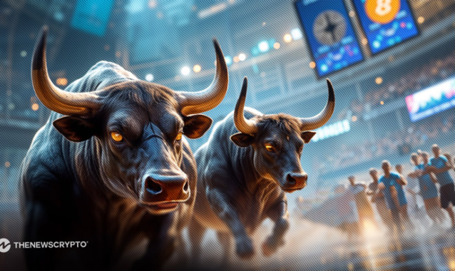 Crypto market bull run