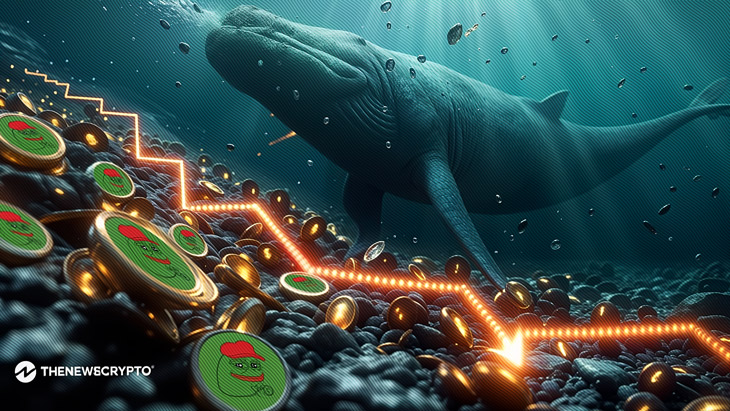 Is PEPE Set for Another Rally as Whale Activity Intensifies?