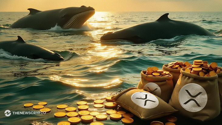 Solana Based SPORE Token Sees Big Whale Investments as Price Rises