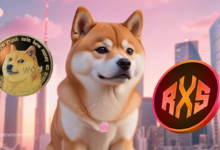 Dogecoin Rises Over 16000% Since 2019, But This DOGE Competitor Will Deliver That in Only 4 Months