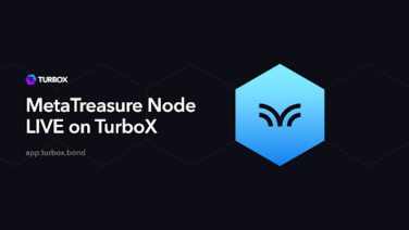 MetaTreasure Community Nodes Sell Out in Record Two Hours! A New Milestone in the PulseChain Ecosystem