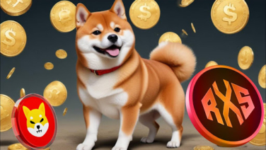 Shiba Inu Bull Identifies 1 Coin to Turn $800 into $208800 with a Rally Like SHIB in Its Prime Days