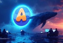 ARC Price Rose by 10% Today Amidst Whale Accumulation