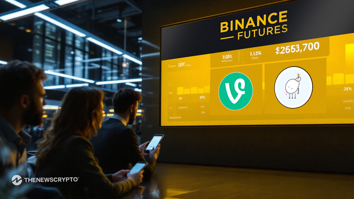 Binance Futures Launches VINEUSDT and PIPPINUSDT Perpetual Contracts