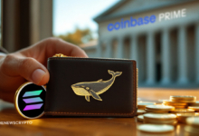 Can Whale Transfers Propel Solana (SOL) to New Highs?