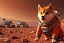 DOGE Plunges 9% Despite Elon Musk's 'Doge to Mars' Remark