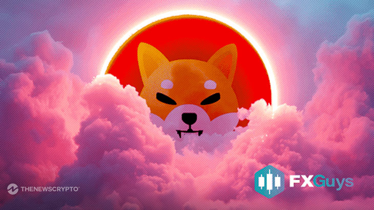 FX Guys ($FXG), Shiba Inu, And XRP Set To Turn A Small Stake Into A Big Payday As $500 Investments Could Turn To $50,000