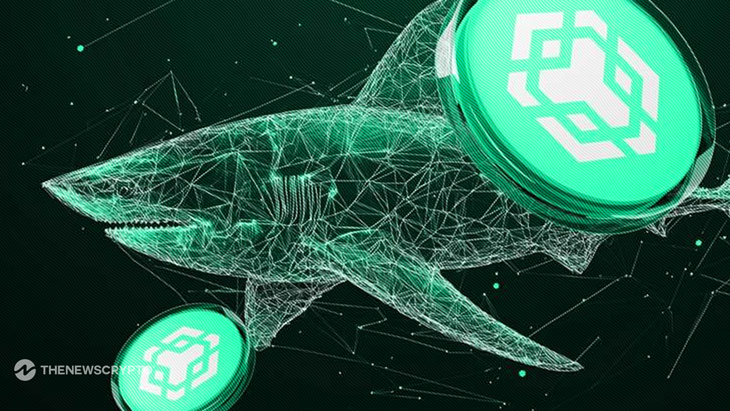 Lunex Presale Rockets, With It To Become The Next Ethereum Contender - Press Release BNB News