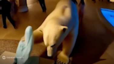 Breaking News: Polar Bear "Breaks In," Steals Bathrobe? 