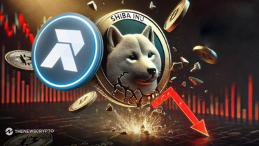 Shiba Inu Price Could Take Longer To Rise, While RCO Finance Prepares for a Safer Growth Path