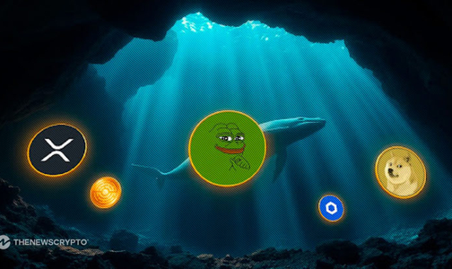 The 5 Must-Have Altcoins Found in Every Whale’s Portfolio!