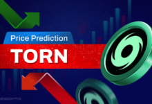 TORN Price Prediction