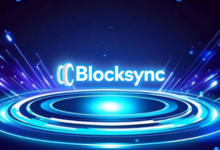 Ready to Create Your 2025 Meme Coin? Let Blocksync Handle Your Presale Development and Smart Contracts